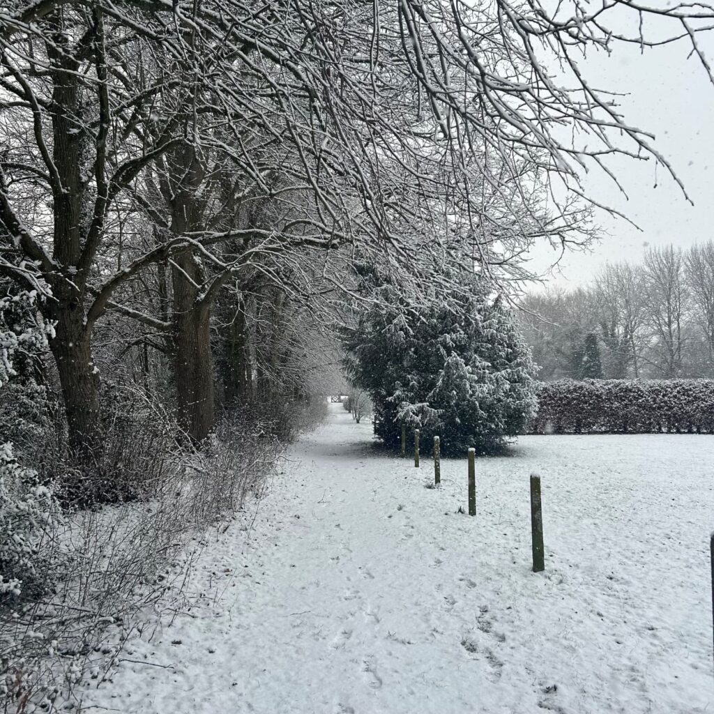 Stibbard Lane
